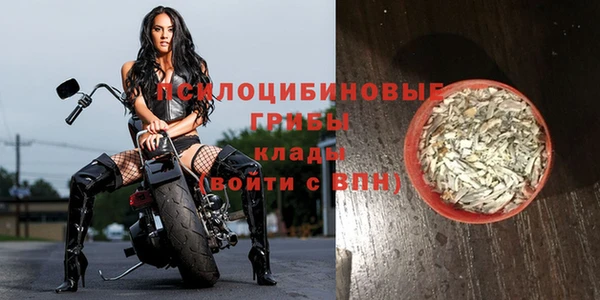стафф Армянск