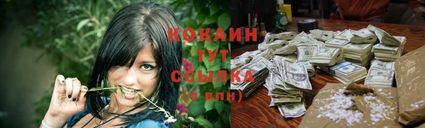 спиды Арсеньев