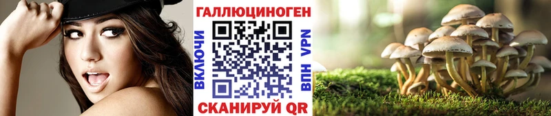 Псилоцибиновые грибы GOLDEN TEACHER закладки Сусуман